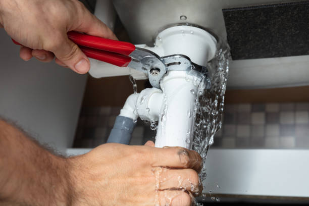 Best Water damage repair service  in Newburgh Heights, OH