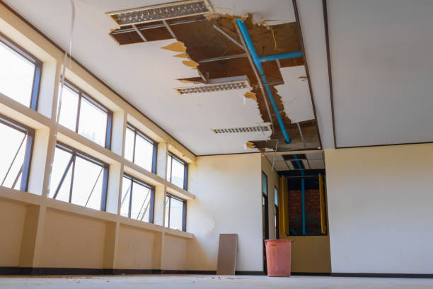 Best Commercial water damage restoration  in Newburgh Heights, OH
