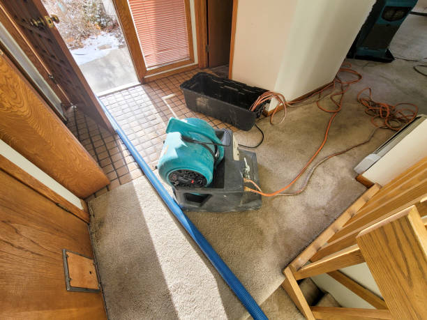 Best Emergency water damage restoration  in Newburgh Heights, OH