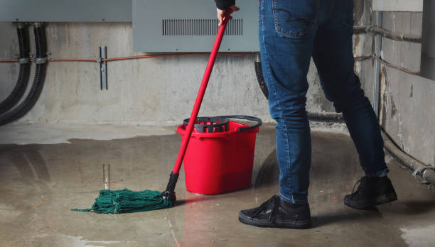 Best Water damage contractors near me  in Newburgh Heights, OH