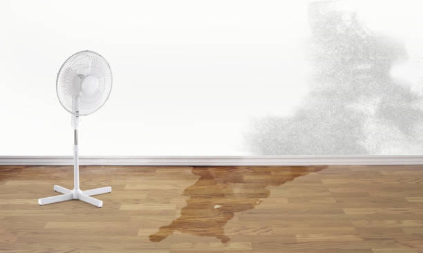 Best Sewage cleanup and water damage restoration  in Newburgh Heights, OH