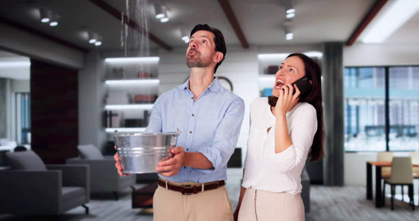 Best Water damage cleanup near me  in Newburgh Heights, OH